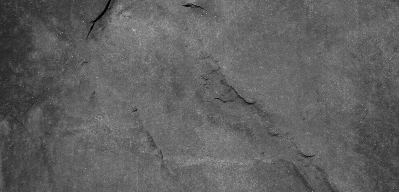 イントロ動画素材のSAMURAI動