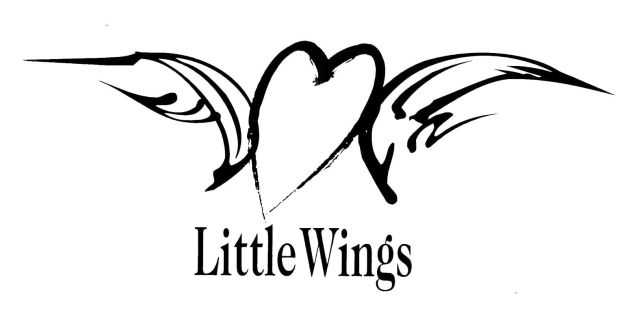 パフォーマンスカンパニーリトルウィング