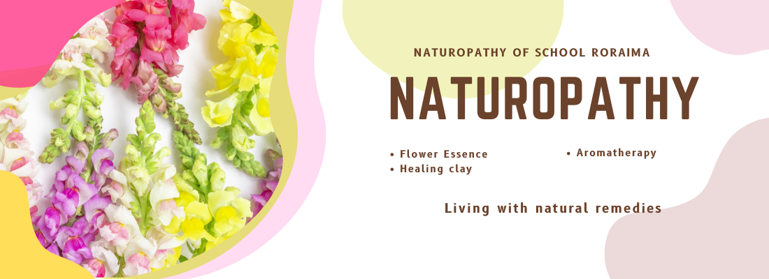 自然療法スクール Roraima