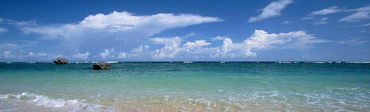 ローリスク投資マニュアル2020