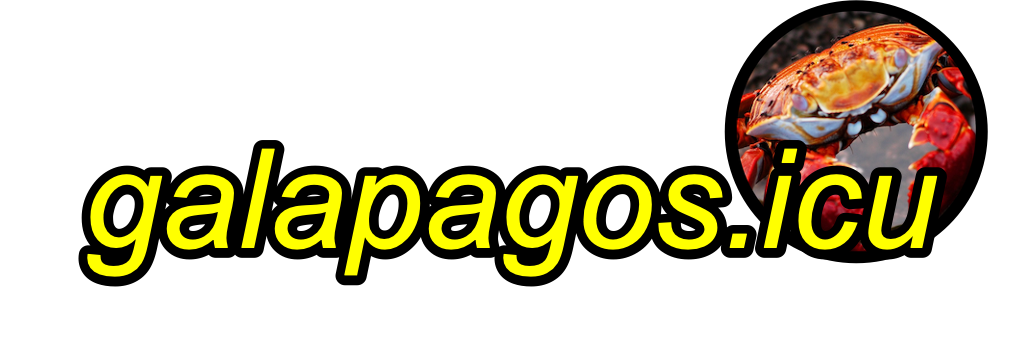 ガラパゴスの狂気　動画販売サイト