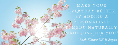 英国バッチフラワーエッセンスのお話「エッセンスの抽出方法」