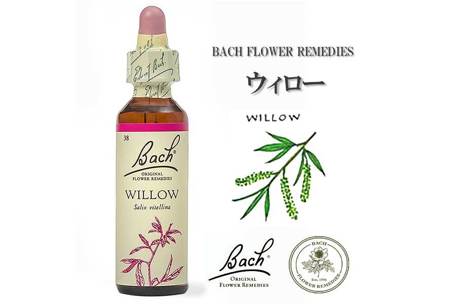 「ウィロー」英国バッチフラワーエッセンスのお話