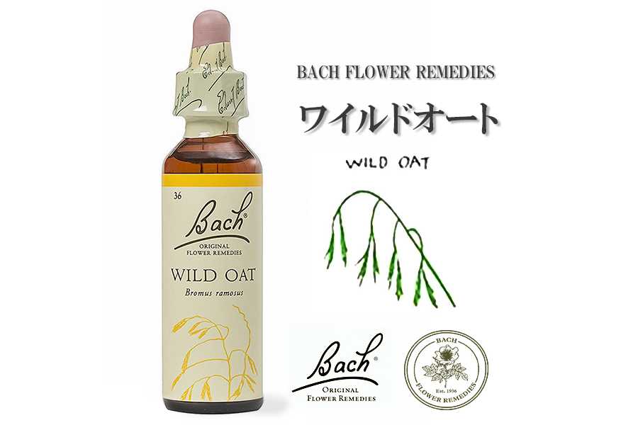 「ワイルドオート」英国バッチフラワーエッセンスのお話