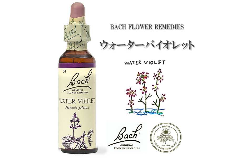 「ウォーターバイオレット」英国バッチフラワーエッセンスのお話
