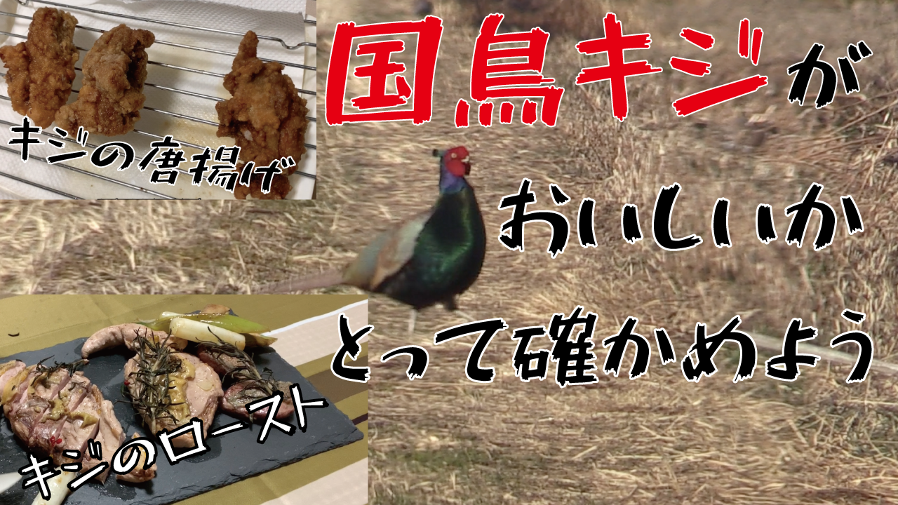第２話 国鳥キジがおいしいかとって確かめよう 東京でとって食べる生活 ドキュメンタリー