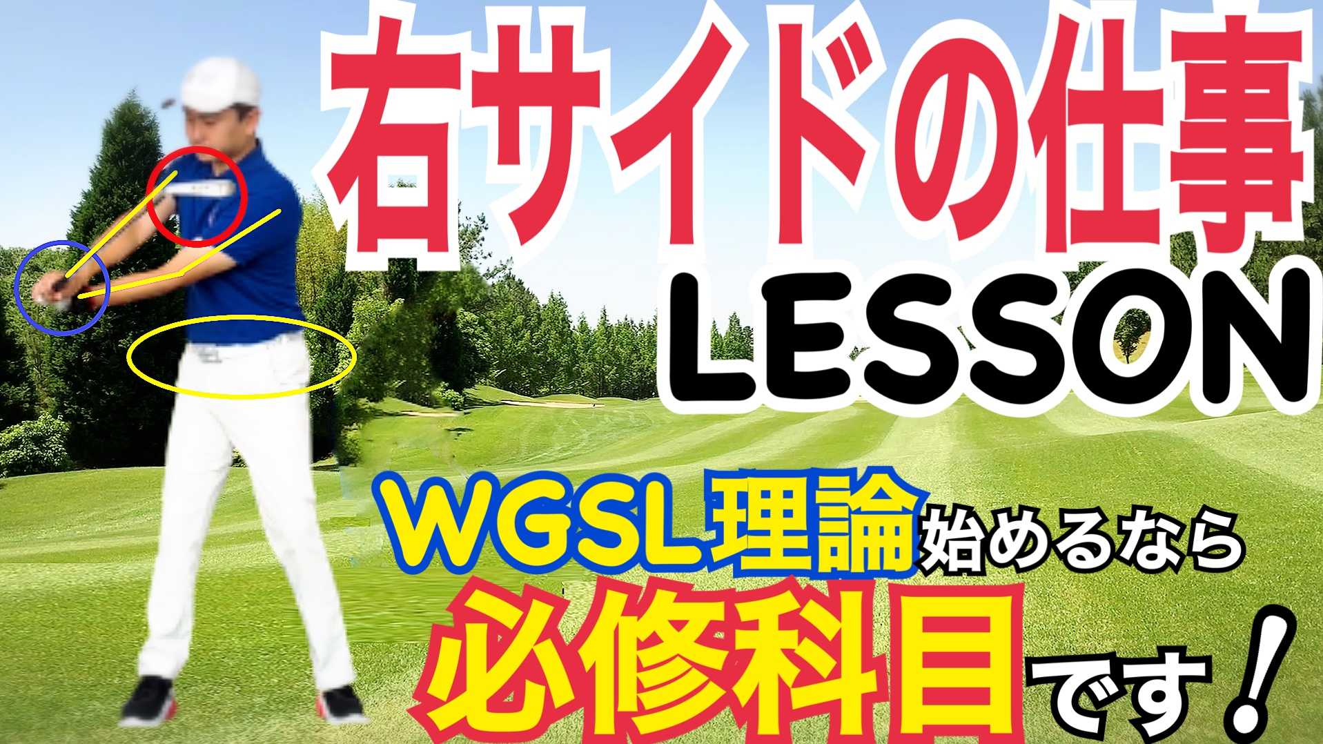 World Golf Swing Labo <WGSL>