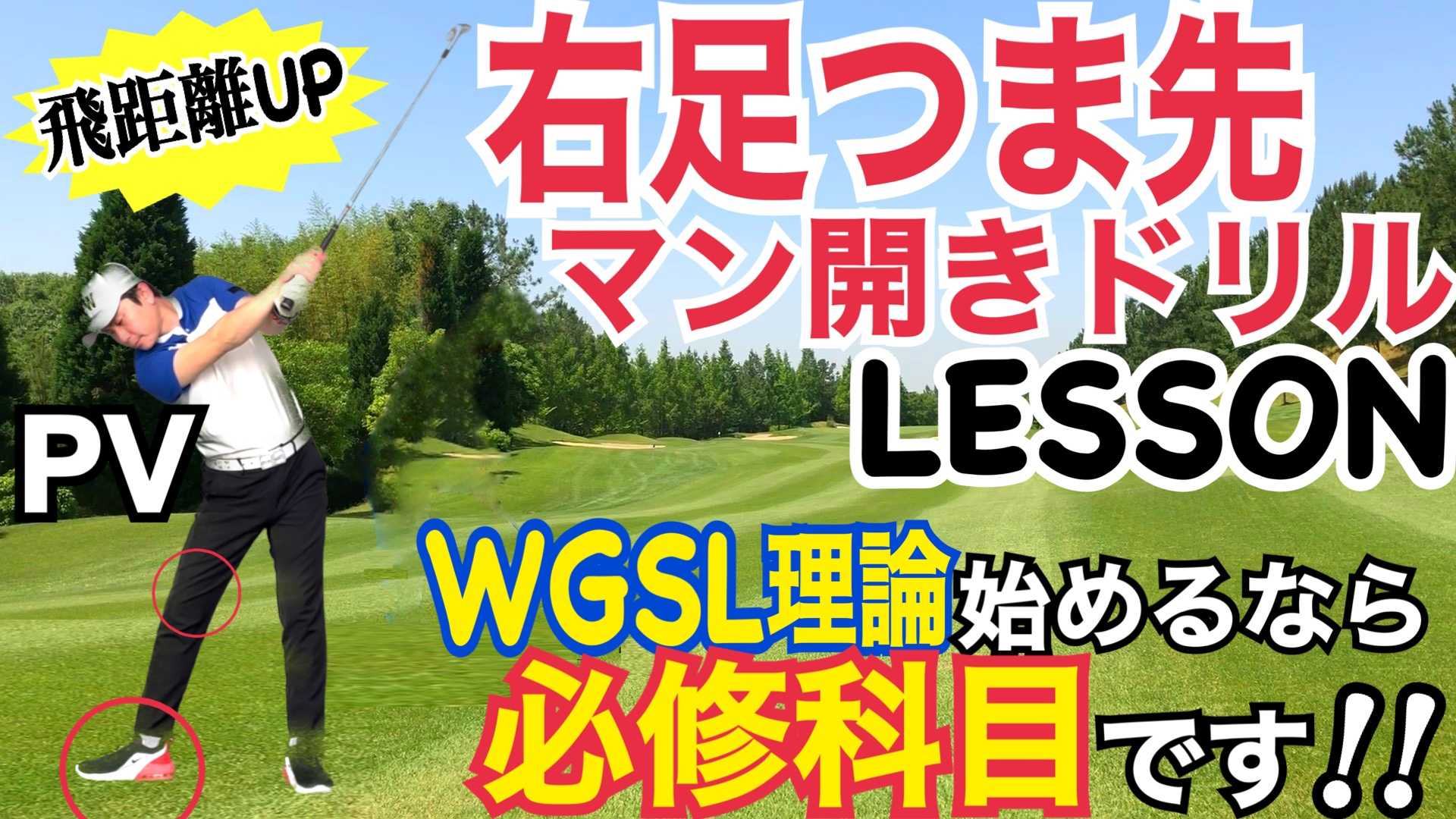 World Golf Swing Labo <WGSL>