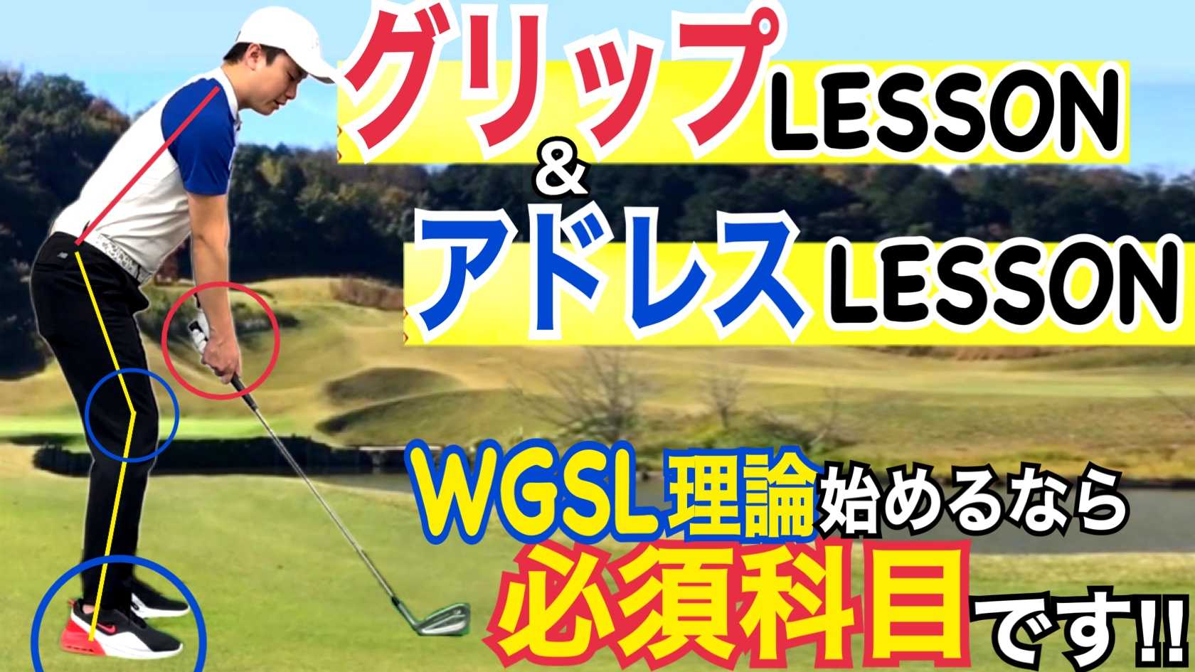 World Golf Swing Labo <WGSL>